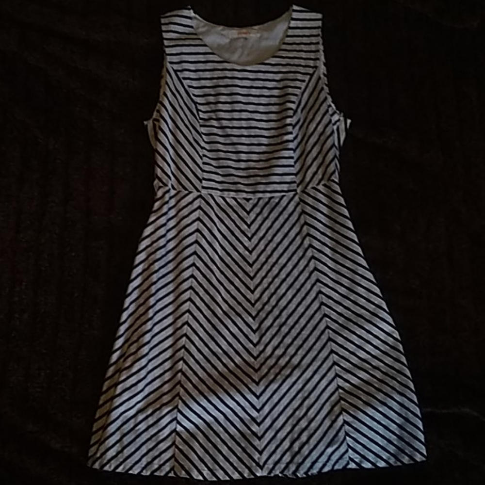 Large Pomelo black and white dress